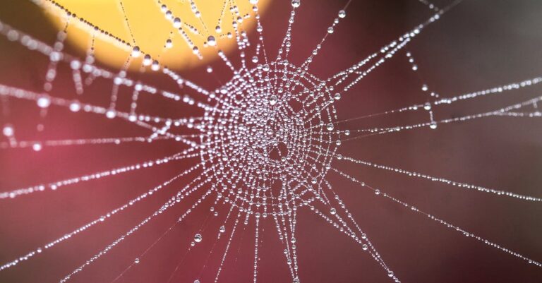 découvrez tout sur la connexion : son importance, les différentes méthodes pour se connecter en ligne et des conseils pour assurer la sécurité de vos échanges numériques.