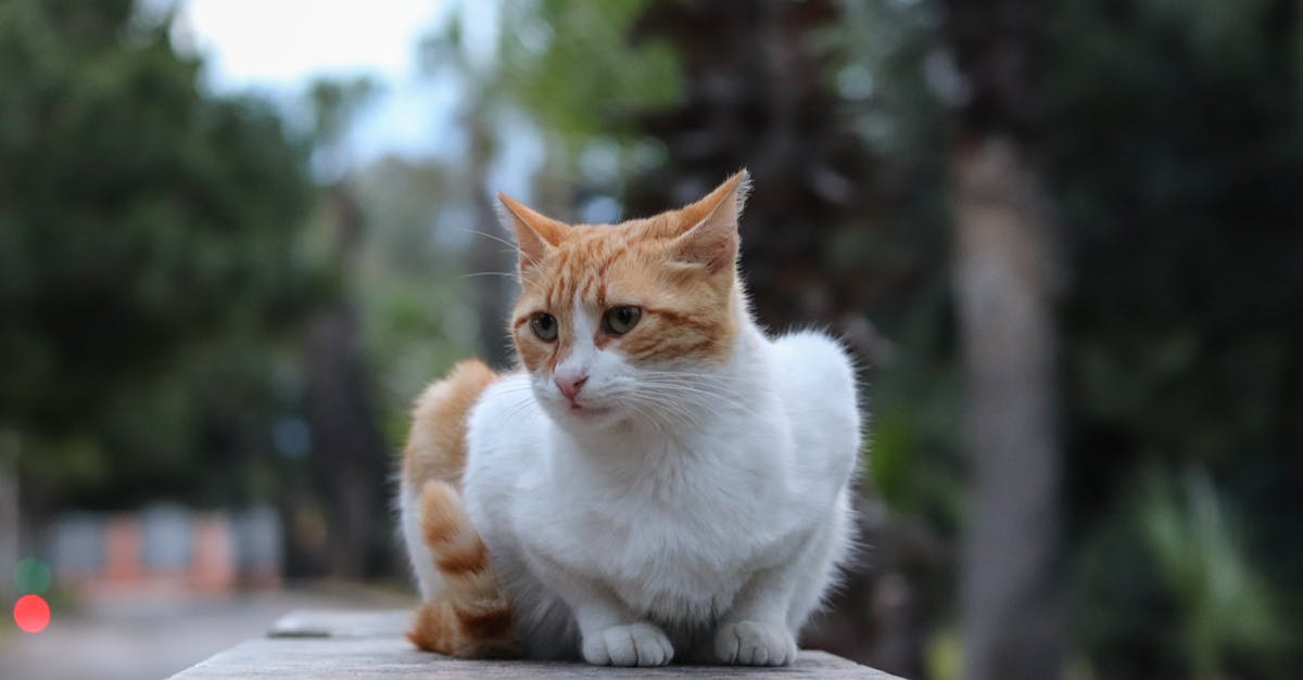 restez informé avec nos alertes en temps réel pour ne manquer aucune mise à jour importante.