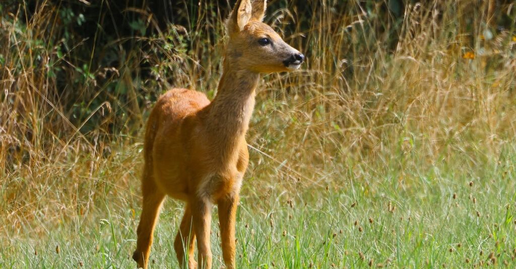 recevez des alertes en temps réel pour rester informé des dernières nouveautés et événements importants.