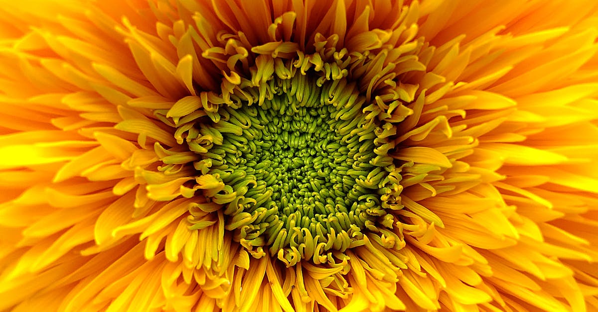 découvrez tout sur qlm : actualités, informations et ressources essentielles pour mieux comprendre ce sujet.