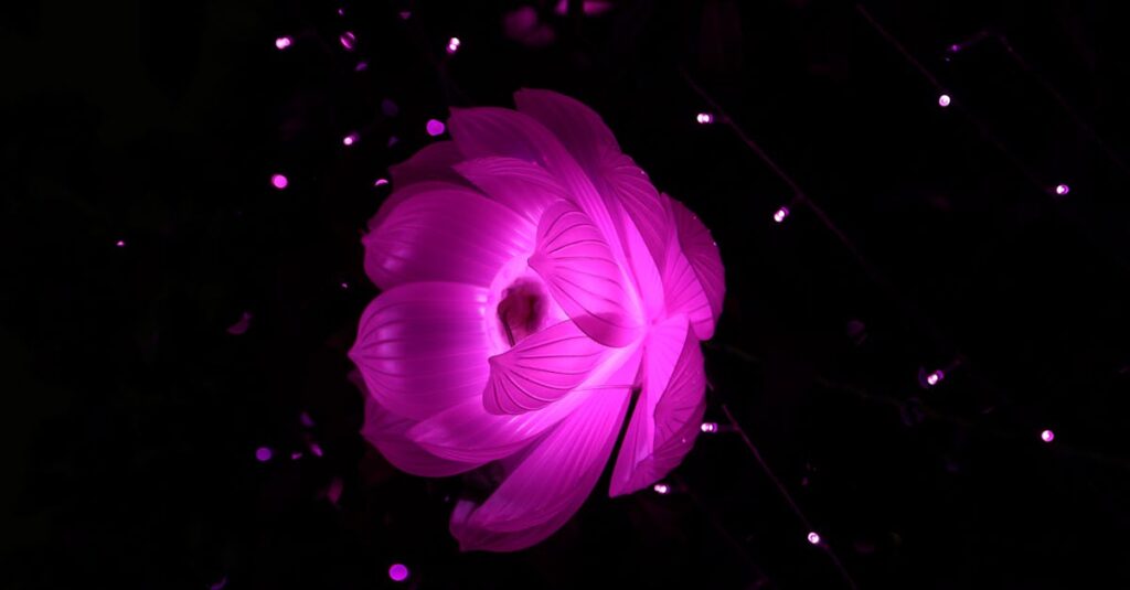 netaklap : découvrez une plateforme innovante dédiée à la création et au partage de contenus interactifs pour tous les passionnés du numérique.