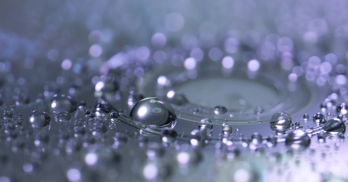 découvrez les derniers codes blox fruits pour obtenir des récompenses gratuites et optimiser votre expérience de jeu. ne manquez aucune mise à jour !