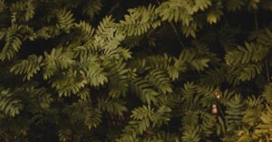 découvrez jesmonite, un matériau composite innovant alliant légèreté, durabilité et finition esthétique, idéal pour l'art, la décoration et la construction.