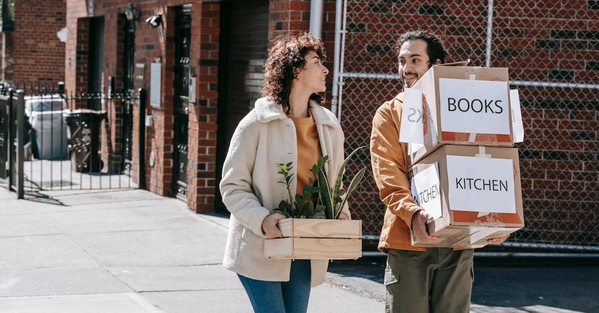 découvrez la compatibilité de transfert des pokémon entre les différentes versions et jeux pour garder vos créatures préférées avec vous.