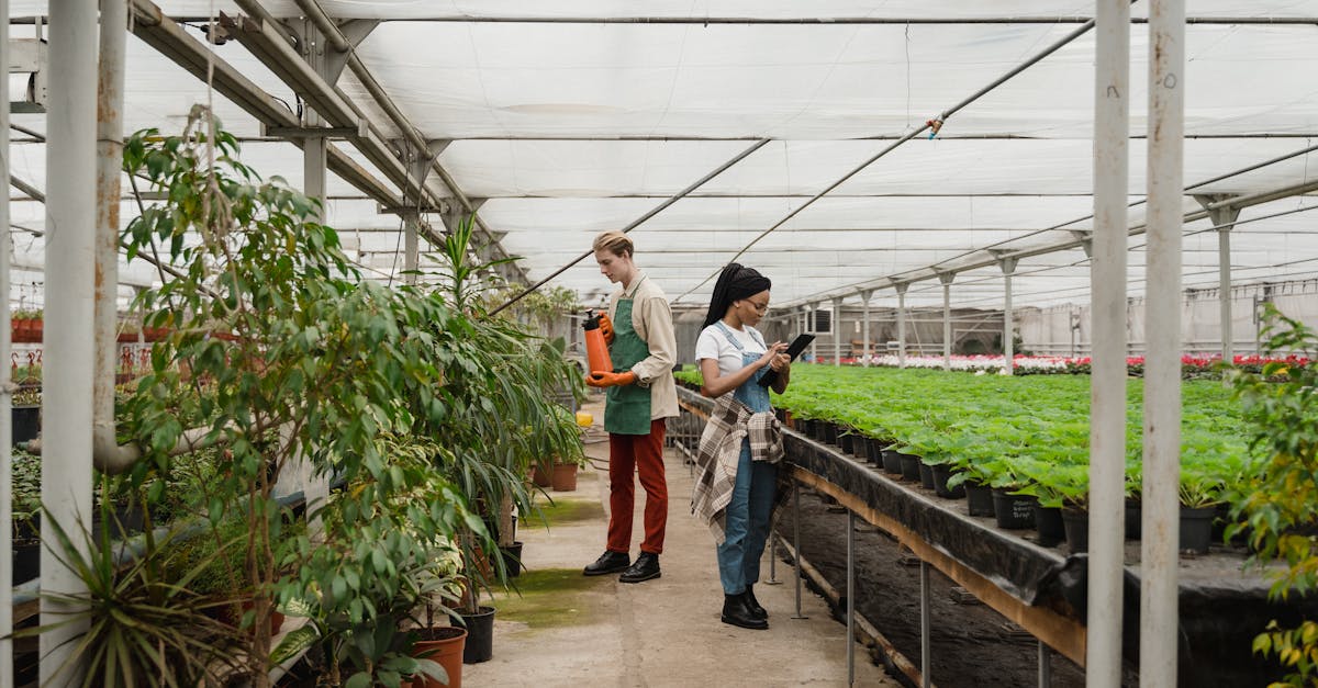 découvrez l'agriculture écologique innovante, une approche durable alliant technologies modernes et respect de l'environnement pour un avenir plus vert.